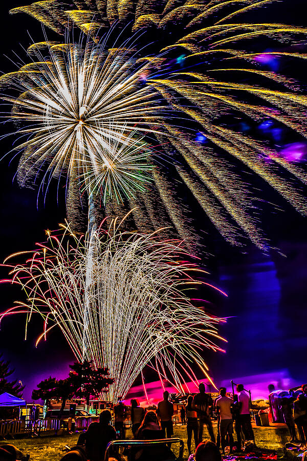 Fireworks in the Park Photograph by Nick Zelinsky Jr