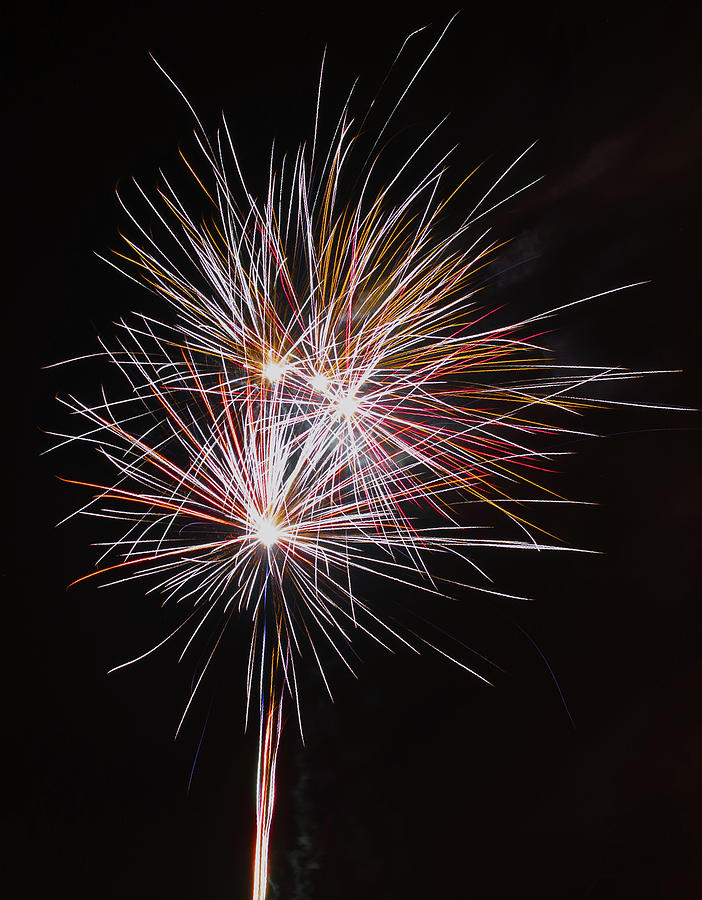 Fireworks Midnight Dandelion Photograph by Scott Lyons