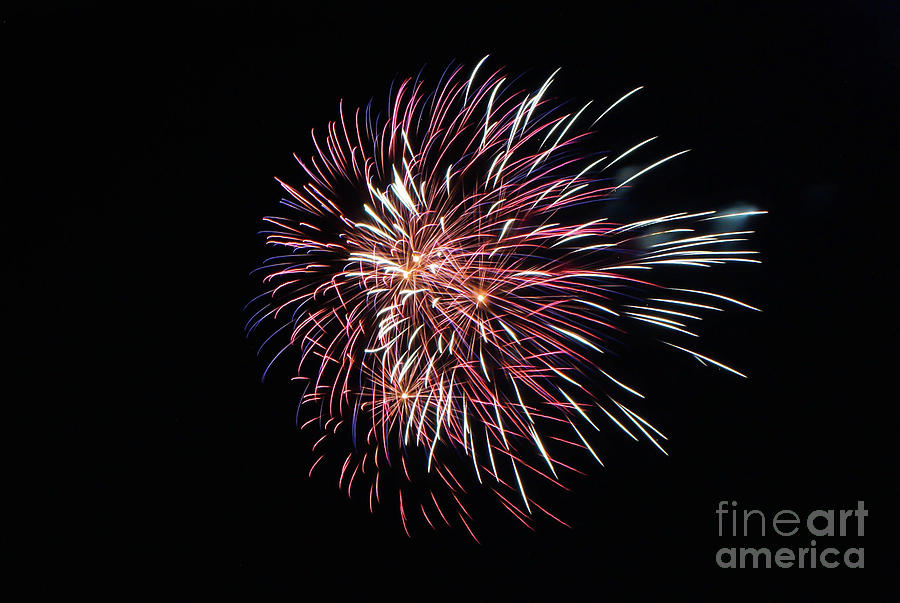 Fireworks No. 5 Photograph by Kevin Gladwell
