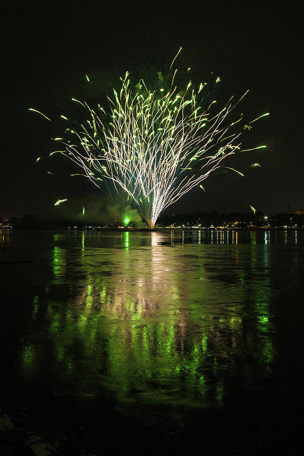 Fireworks or a bush Photograph by Joe Kopp