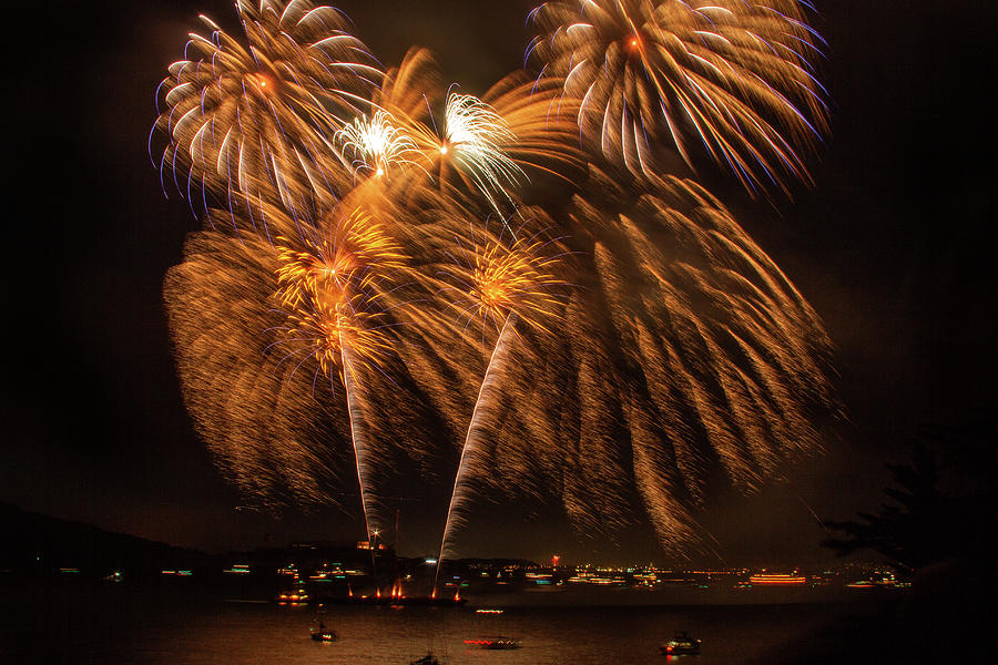 Fireworks Palms Photograph by Bonnie Follett