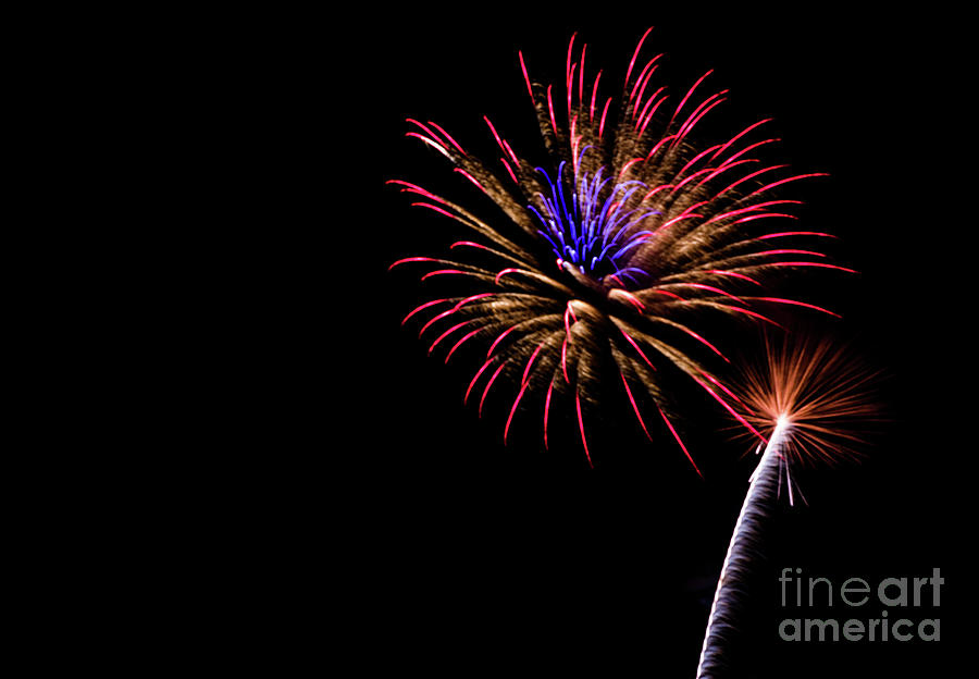 Fireworks Photograph by Suzanne Luft