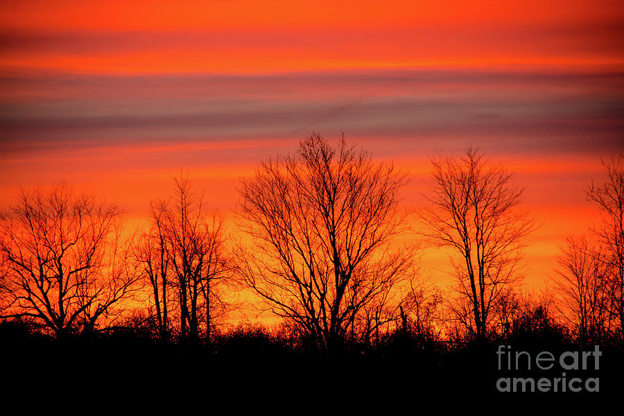 Firey Autumn Sunrise Sky Photograph by Cheryl Baxter