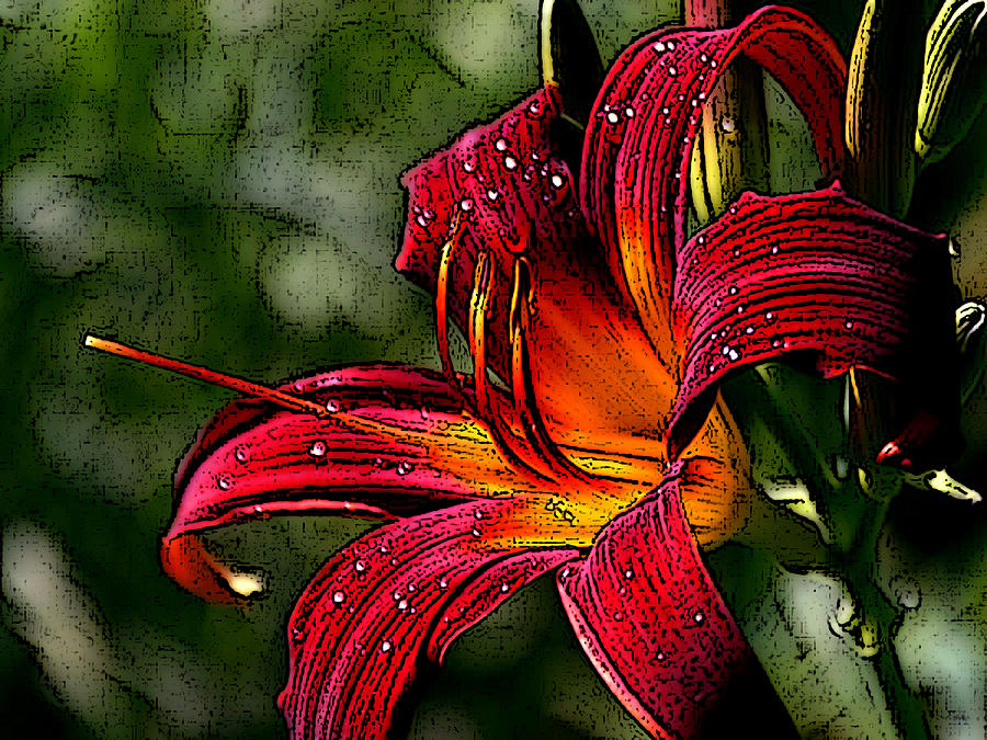Firey Flora Digital Art by Ben Freeman