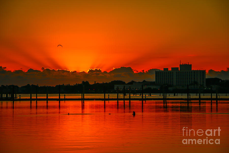 Firey Sky Sunrise Photograph by Tom Claud