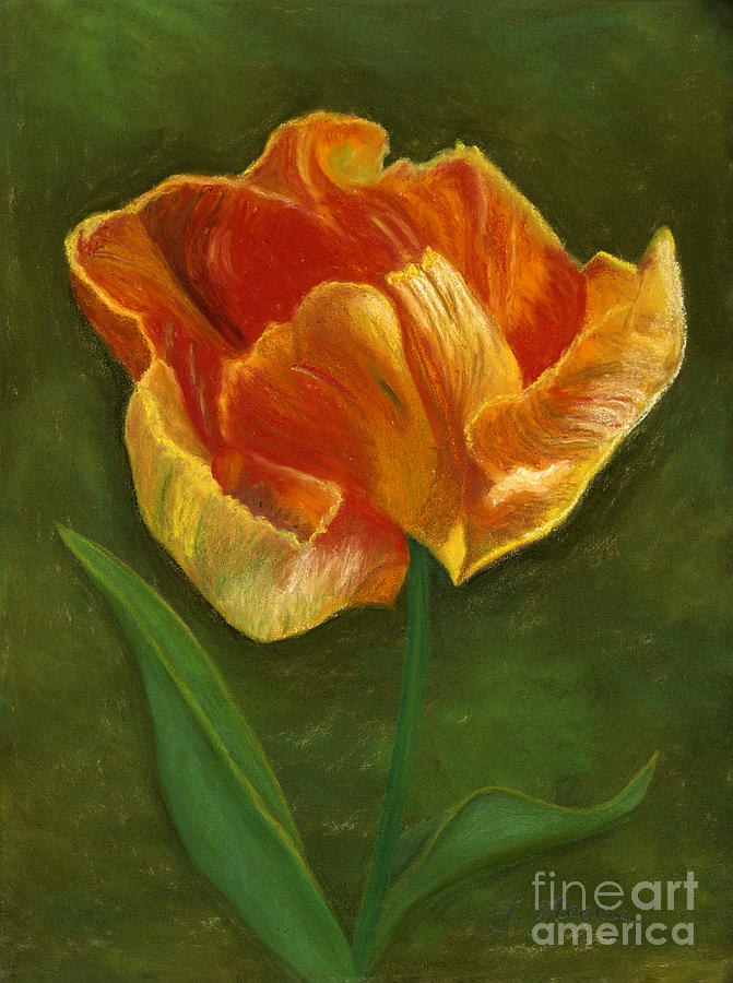 Fiery Tulip #1 Painting by Ginny Neece