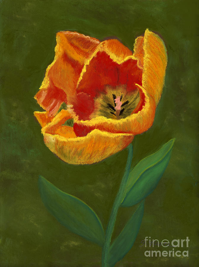 Fiery Tulip #2 Painting by Ginny Neece