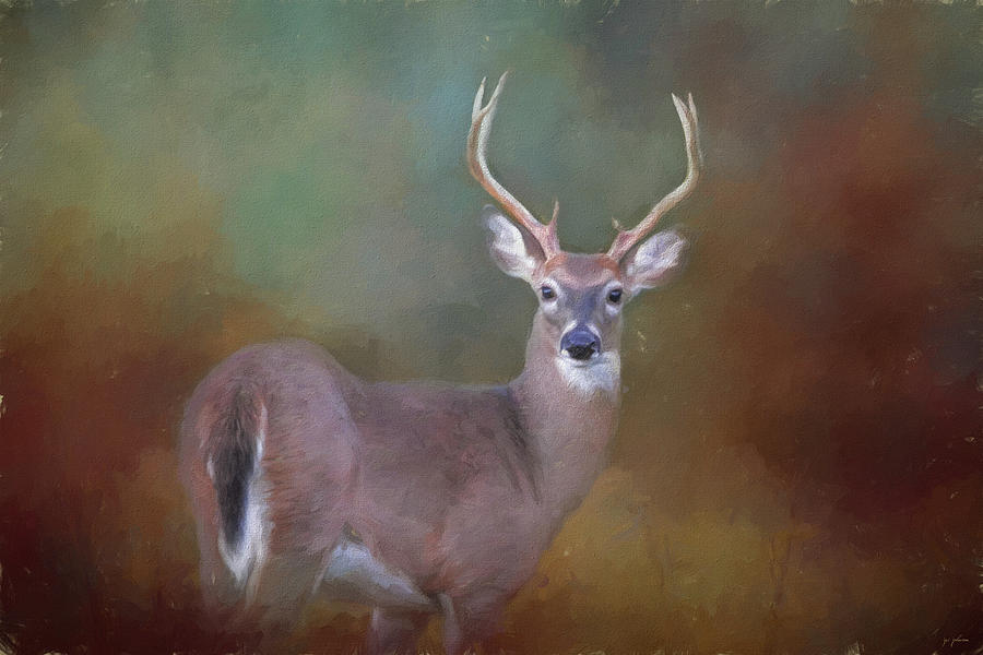 First Buck Painting by Jai Johnson