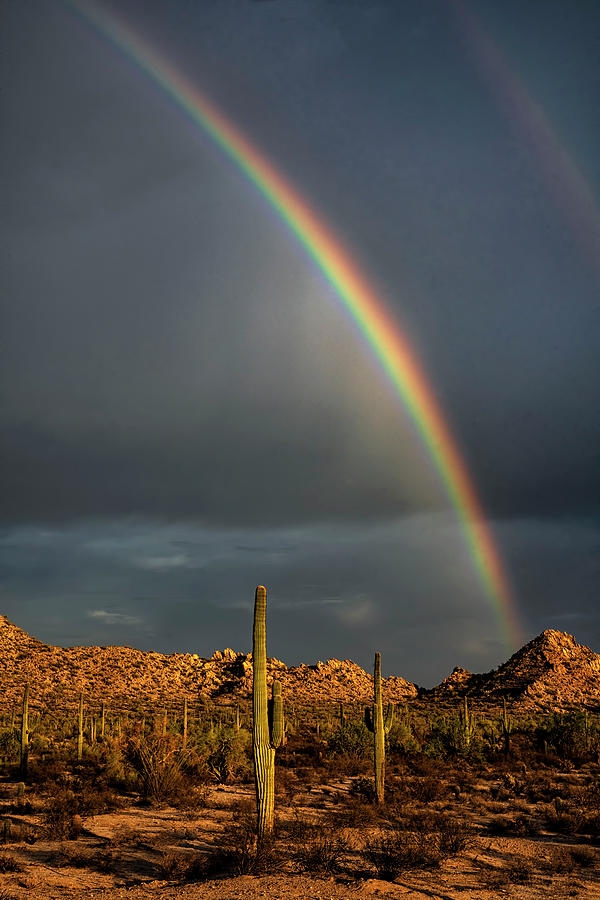 First Came The Rain Then The Rainbow  Photograph by Saija Lehtonen