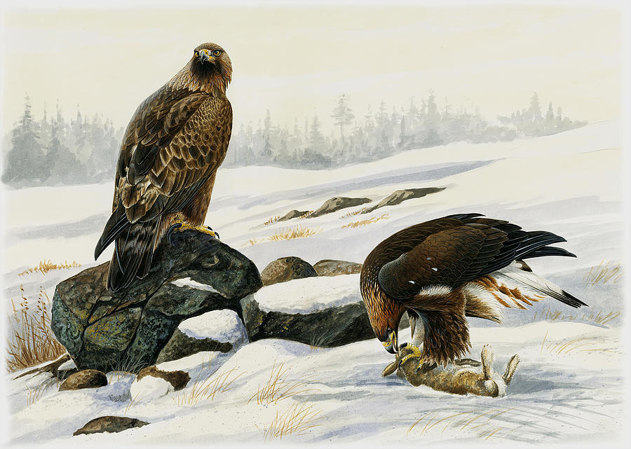 Wildlife Painting - First catch by Dag Peterson