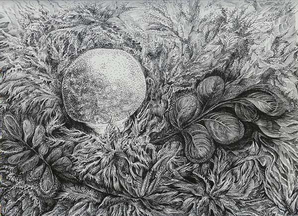 First Frost Drawing by Anna  Duyunova