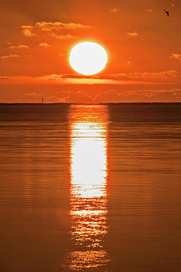 First Key West Sunrise 2018 F Photograph by Bob Slitzan