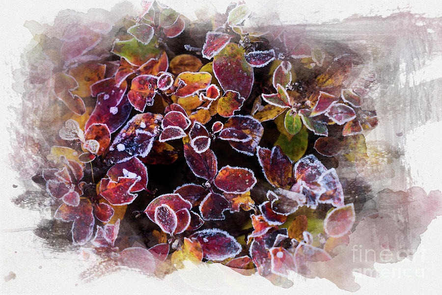 First Kiss Of Winter Watercolor Digital Art