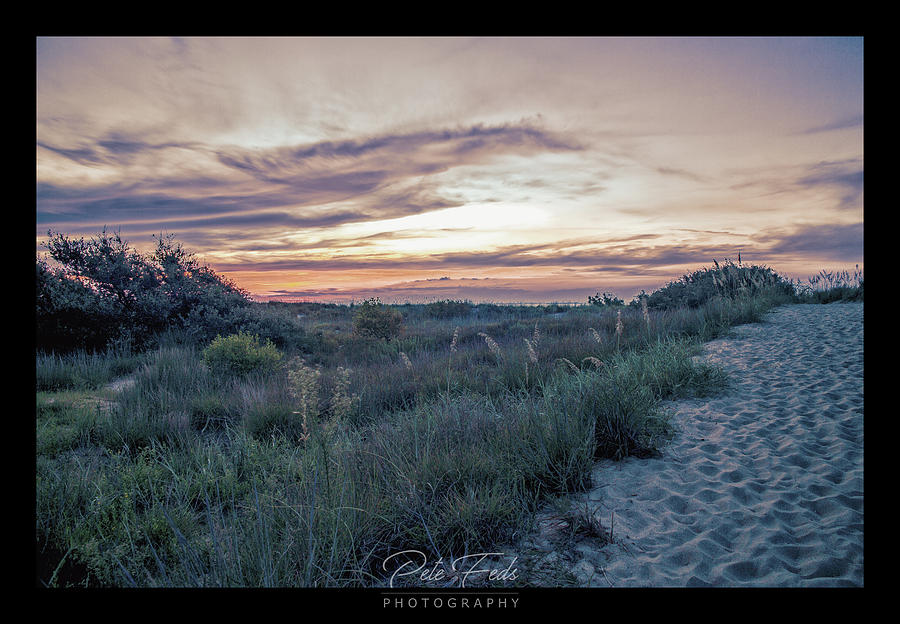 Sunset Photograph - First Landing Dunes by Pete Federico Sunset Photograph - First Landing Dunes by Pete Federico