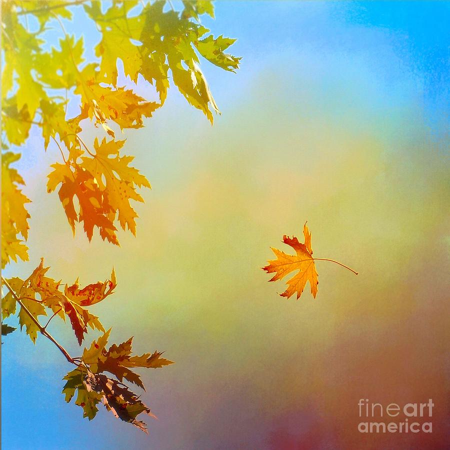 Fall Photograph - First Glimpse of Autumn in Oklahoma by Janette Boyd