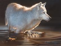 Grey Wolf Painting - First Light - Grey Wolf by Karen Latham Grey Wolf Painting - First Light - Grey Wolf by Karen Latham