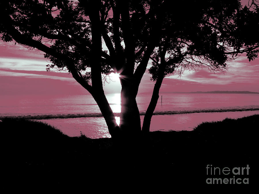 First Light - Pink Photograph by Karen Lewis