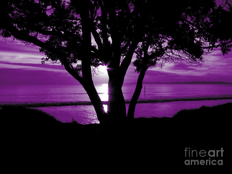 First Light - Purple Photograph by Karen Lewis