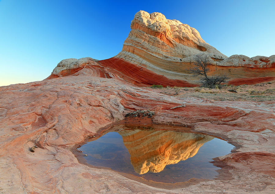 Spring Photograph - First Light At White Pocket. by Johnny Adolphson Spring Photograph - First Light At White Pocket. by Johnny Adolphson