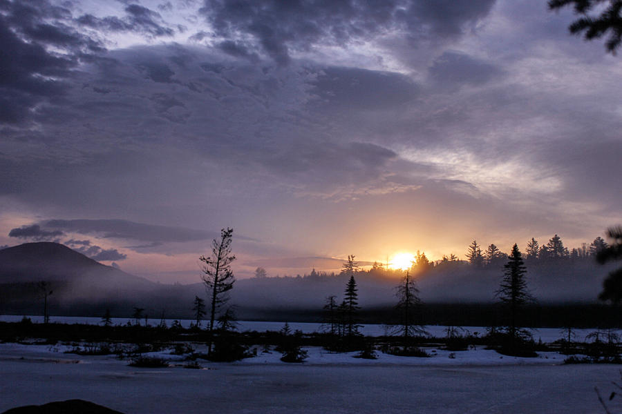First light at Wolf Pond by Jessica Tabora First light at Wolf Pond by Jessica Tabora