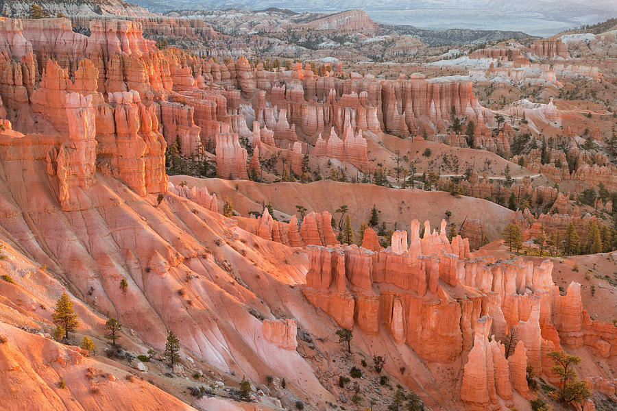 First Light, Bryce Canyon National Park Photograph by Denise Bush