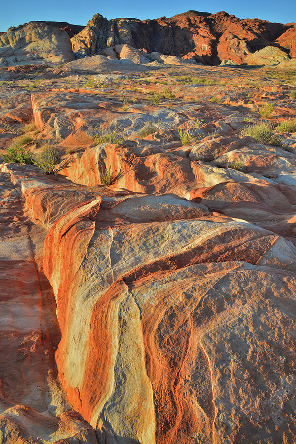 First Light on the Colors of Valley of Fire Photograph by Ray Mathis