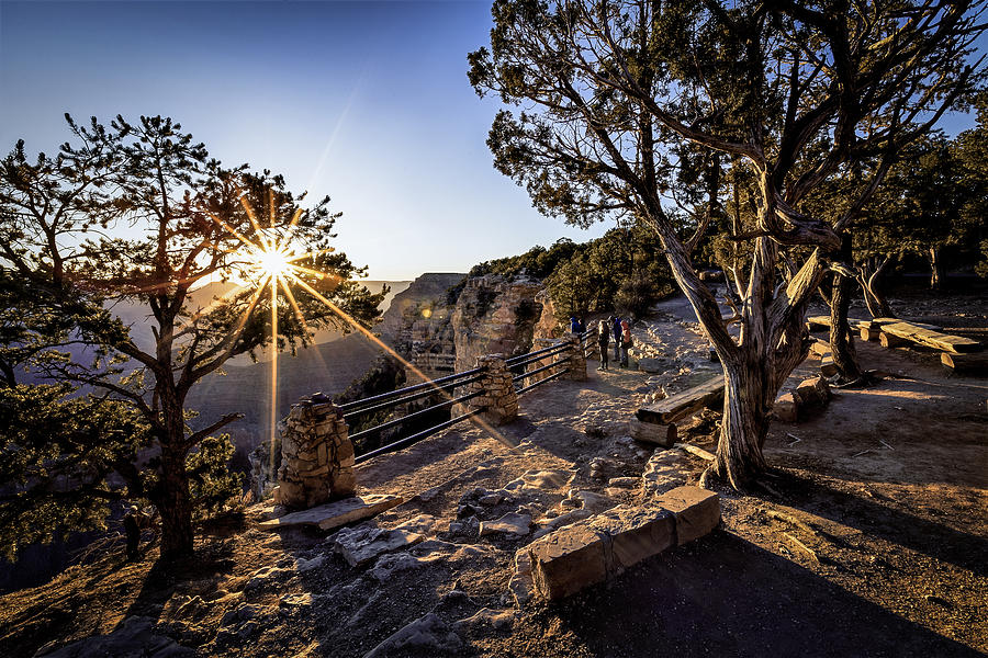 Grand Canyon National Park Photograph - First light over Yavapai by Eduard Moldoveanu