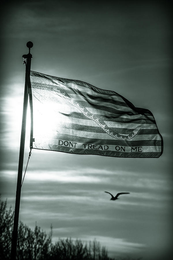First Navy Jack Photograph by Chris Bordeleau