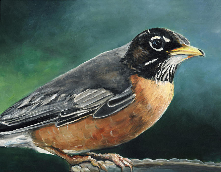 First Robin Painting by Charlotte Yealey