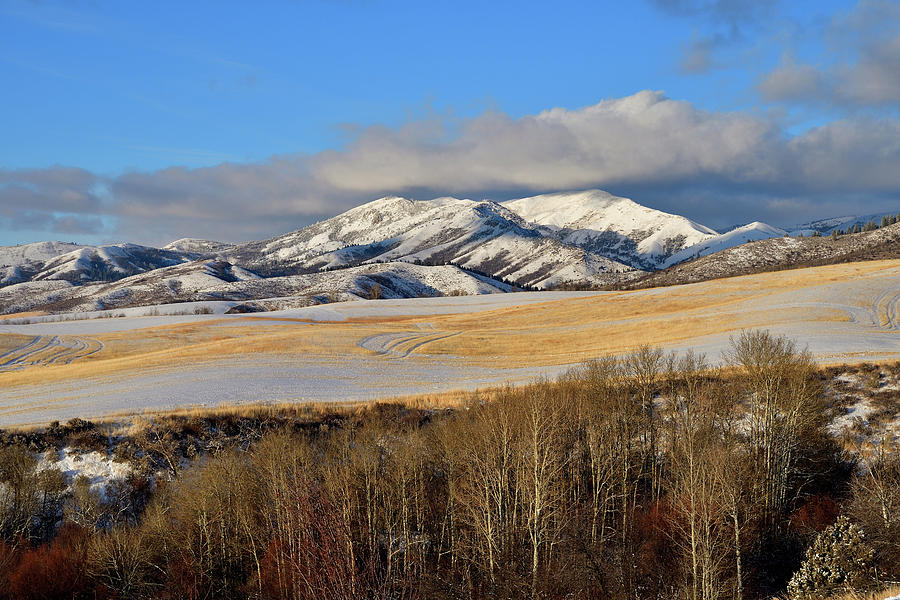 First Snow Golden Hour Photograph by Michael Morse - Fine Art America