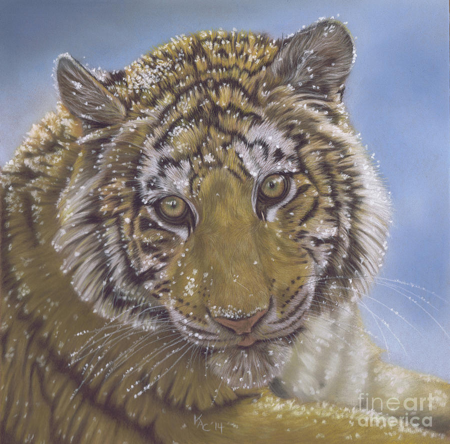 First Snow by Karie-Ann Cooper First Snow by Karie-Ann Cooper
