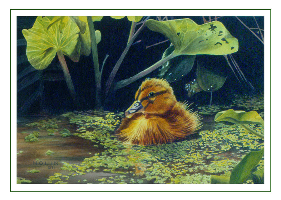 First Spring - Mallard Duckling Painting by Bob Nolin