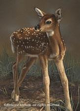 Fawn Painting - First Steps - Fawn by Rebecca Latham Fawn Painting - First Steps - Fawn by Rebecca Latham