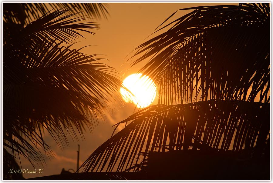 First Sunrise At Pune Photograph by Sonali Gangane