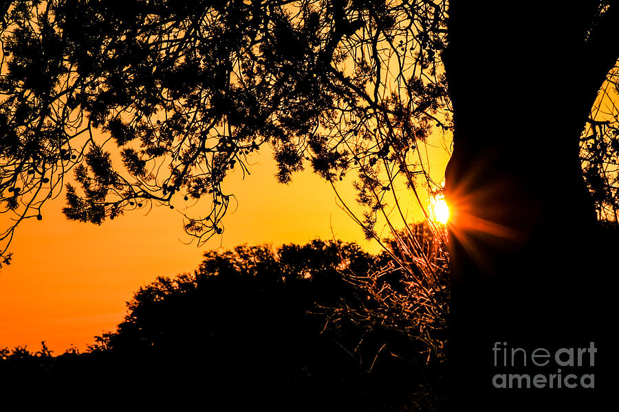 First Sunrise Photograph by Toma Caul