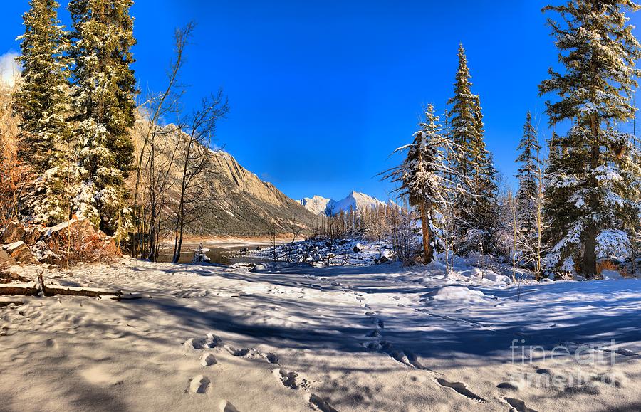 First Tracks To Medicine Lake Photograph by Adam Jewell