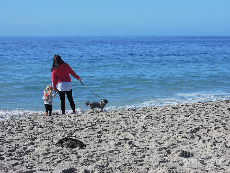 First Visit to the Ocean by Vinnie Oakes First Visit to the Ocean by Vinnie Oakes