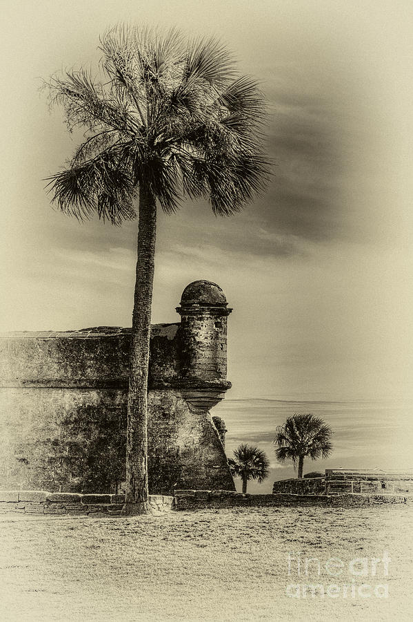 Spring Photograph - First Watch- sepia by Marvin Spates