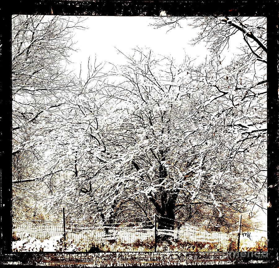 First Winter Snow Photograph by Marsha Heiken
