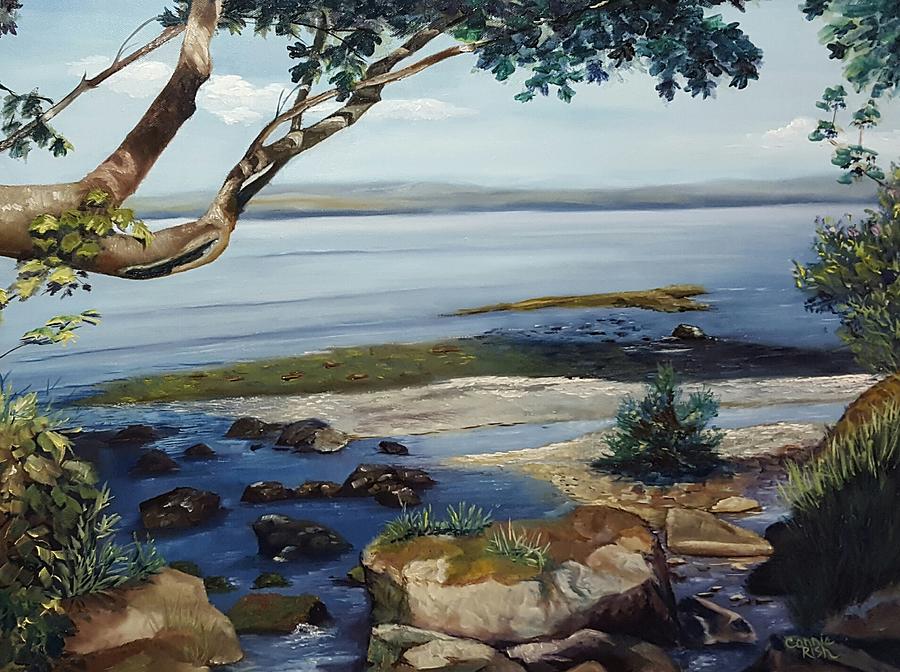 Shoreline Shade Painting by Connie Rish