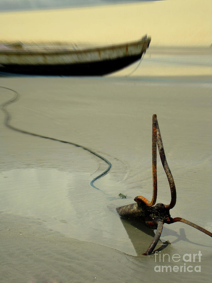 Fish Photograph - Fish Boat and Anchor on Low Tide  by Idan Badishi