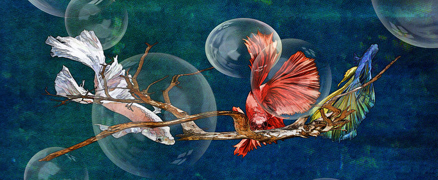 Fish bubble Digital Art by Sue Masterson