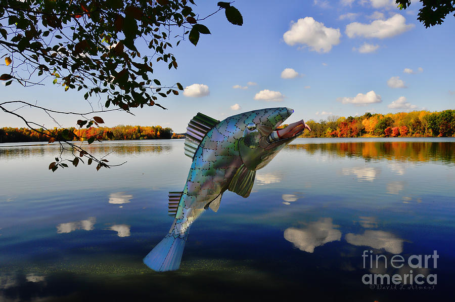 Fish Catches Man Photograph by David Arment