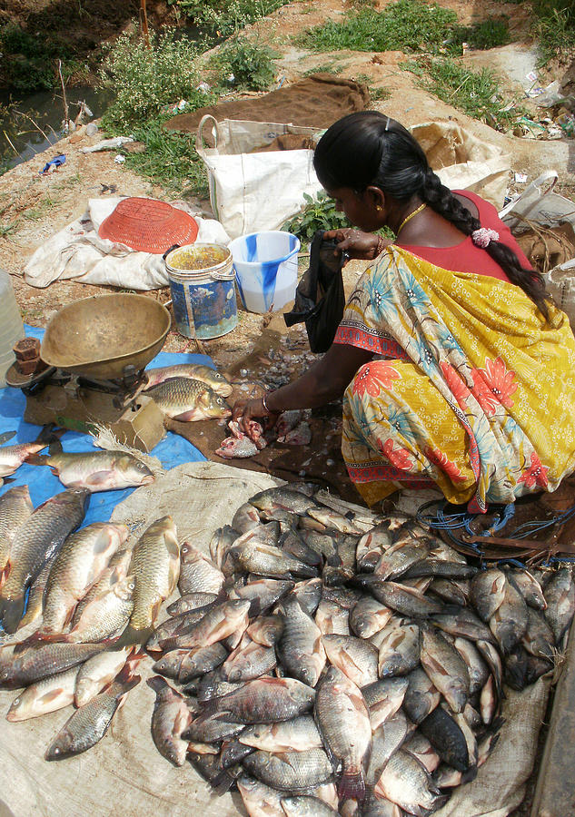 Cleaning Fish Photograph - Fish Cleaning by Umesh U V