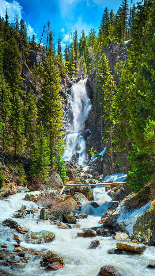 Nature Photograph - Fish Creek Falls Colorado by James O Thompson