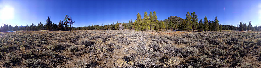 Fish Creek Meadow Sierra Nevada Photograph by Brian Lockett