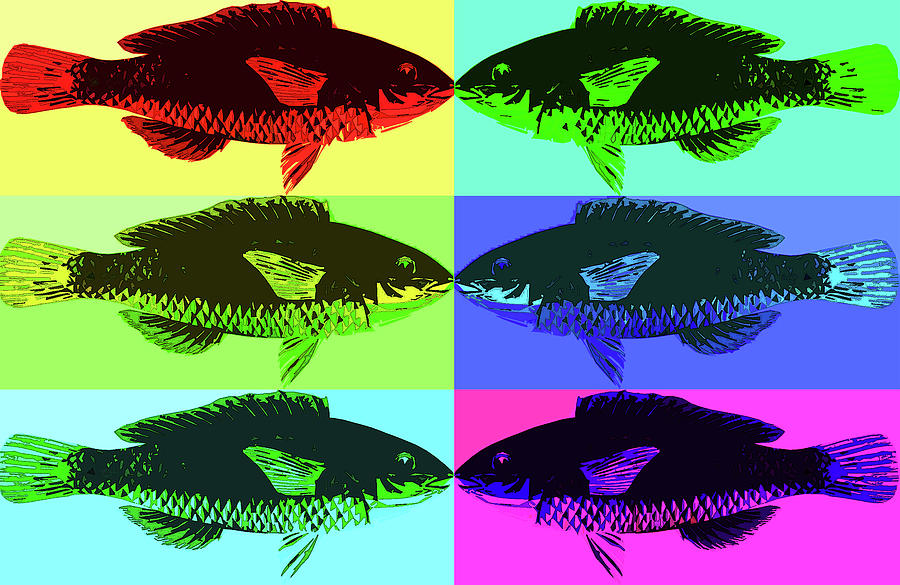 Fish Dinner Pop Art Digital Art by Nancy Merkle