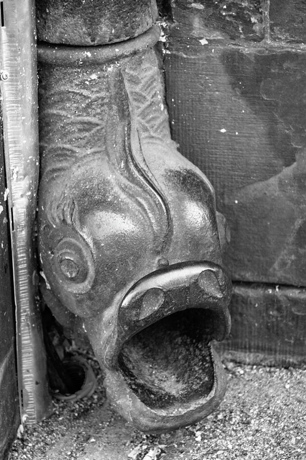 Fish Drain Spout Detail Photograph by Teresa Mucha