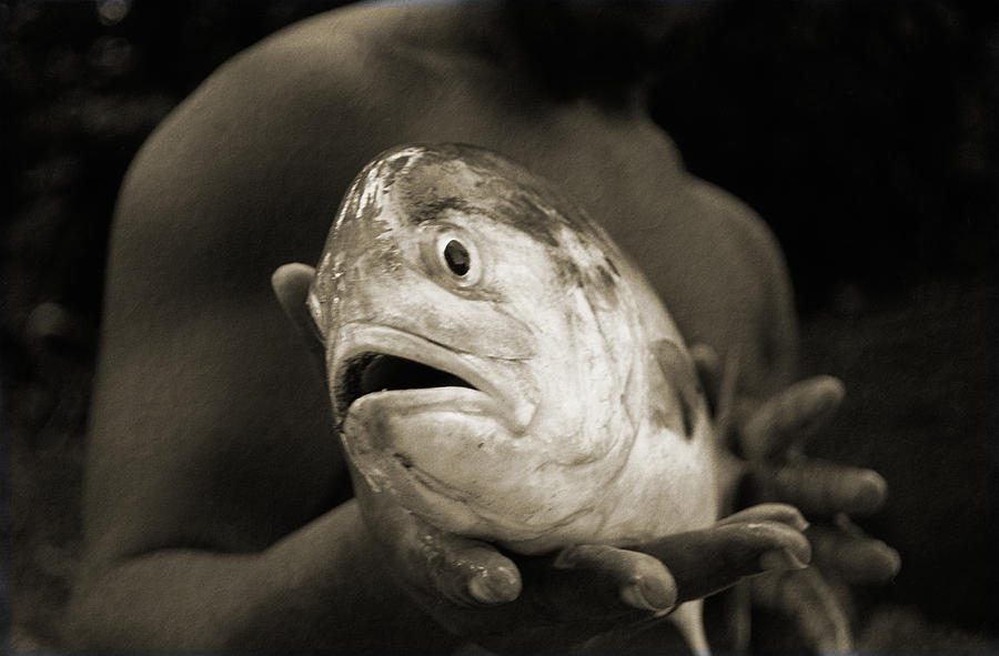 Fish Face Photograph by Terence Davis