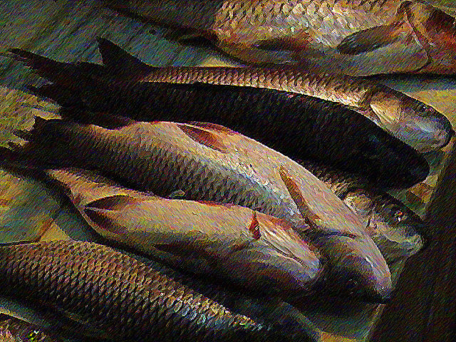 Fish for Sale 2 Photograph by Padamvir Singh
